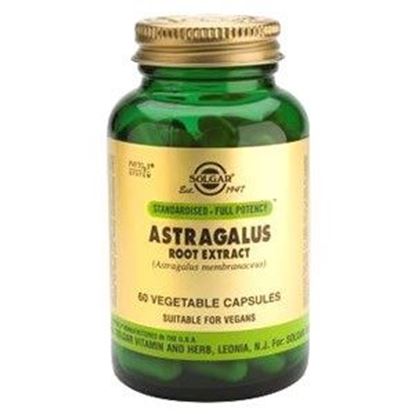 Picture of Solgar SFP Astragalus Root Extract Vegetable Capsules