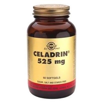 Picture of Solgar Celadrin 525 mg Softgels - 60