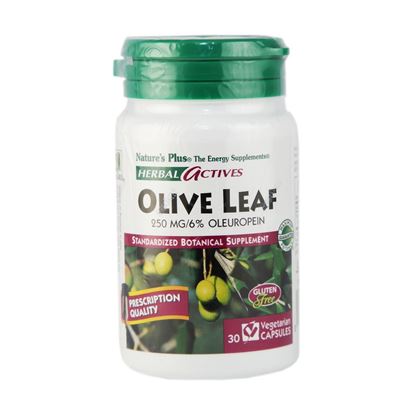 Picture of Natures Plus Herbal Actives Olive Leaf 250 mg Vcaps
