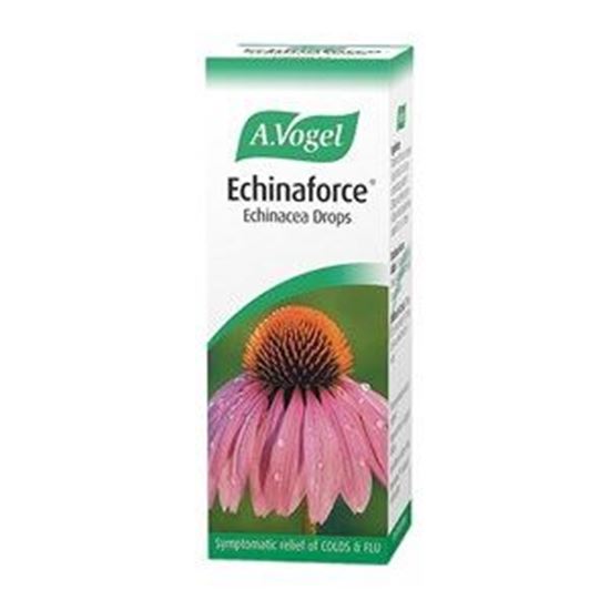 Picture of A.Vogel Echinaforce Echinacea Drops