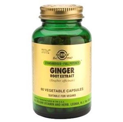 Picture of Solgar SFP Ginger Root Extract Vegetable Capsules