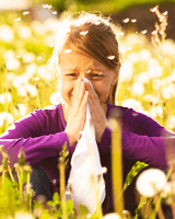 Picture for category Hayfever & Allergies